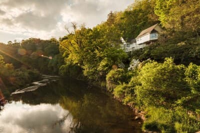 Riverview Treehouse